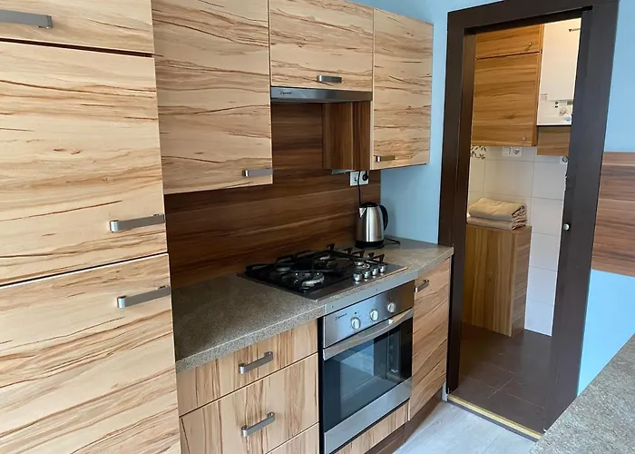 Kawalerka Fredry 3/14 ポズナン