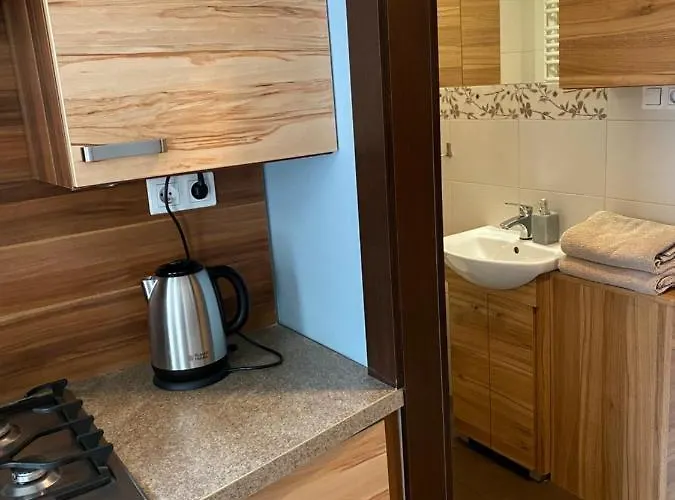 Kawalerka Fredry 3/14 ポズナン